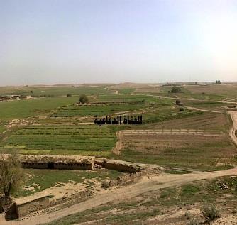)11(: القناة الدفاعية