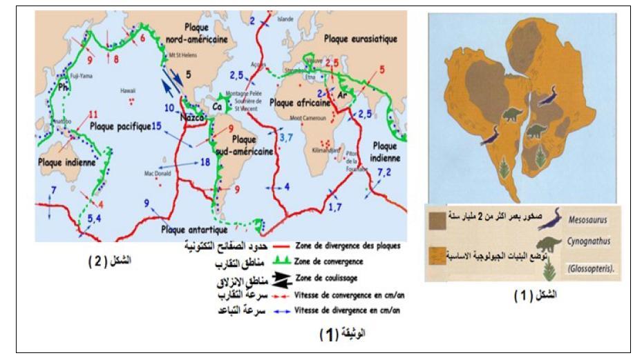 الختس الشاوي: ألقس د ف غنر 1915 هو األاو م اقترح فسغ ت خوو ان القازاث كاهذ كخلت ألااخدة اطلق غليها اطم باهجاي Pangée ز م م جصخصخذ ختى اضبدذ غلى الوغؼ الحالي إنها هظس ت
