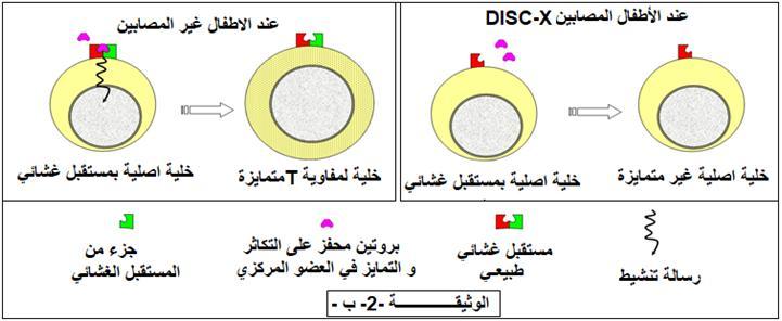 أ- جتشل الوز قت -2 ب- -مظخقبالث غشائ ت غىد الخال ا م املىخجت للخال ا اللتفاألا تLTاملخواحدة في هقي الػظام غىد كال م الاطفاو املطابين ألا طفاو غير املطابين.
