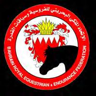 ORGANISING COMMITTEE DR. KHALID AHMED HASSAN MR. TAWFIQ HASAN SALEHI MR.