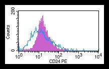 PE-Isotype CD24-PE المجلة العربية للعلوم الصيدلية- مجلة اتحاد الجامعات العربية.