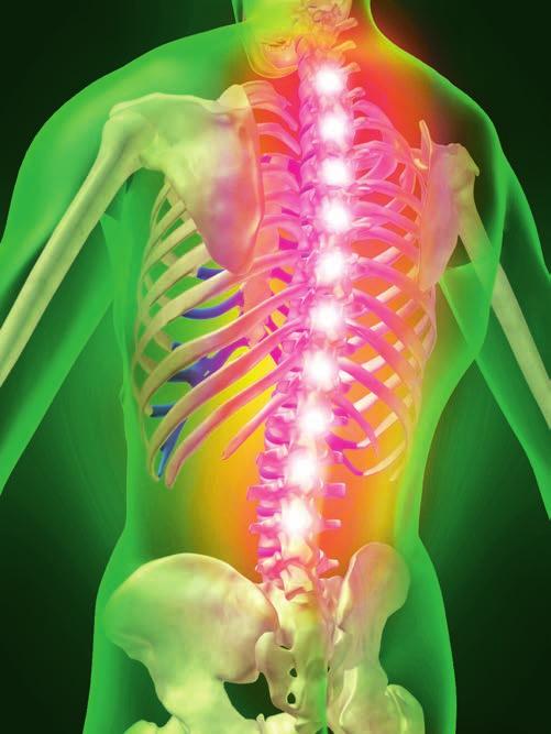دراسات وبحوث 50 تقنية مطورة لتدمير الخلايا السرطانية «ذاتي ا» يسعى علماء س ويديون لتطوير تقنية تعتمد على «النانو» لمهاربة الا ورام عبر تدمير الخلايا الس رطانية ذاتي ا في خطوة قد تس اهم في علاج ا نواع
