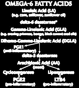 What are Fatty Acids and PUFAs? Fatty acids that contain no carbon-carbon double bonds are termed saturated fatty acids because the carbon atoms are "saturated" with four single covalent bonds.