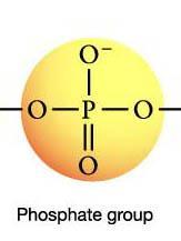 Phosphoric acid حامض الفوسفوريك.