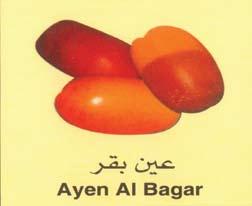 أصناف