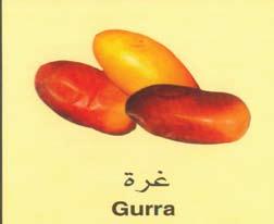 باإلمارات 66