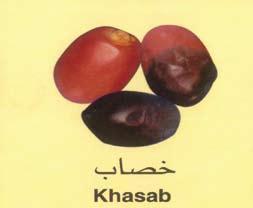 الباب السادس