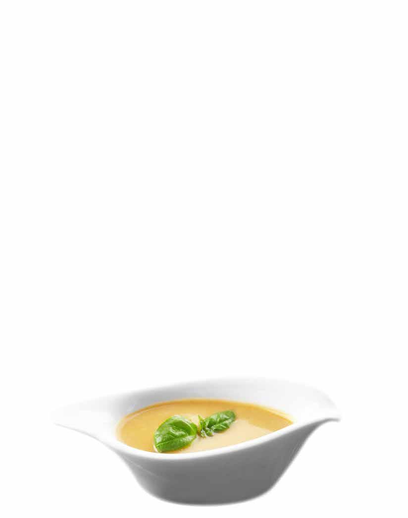 كنور Knorr Chicken