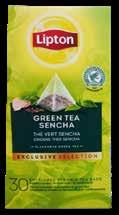 Tea Mint Pyramid 25