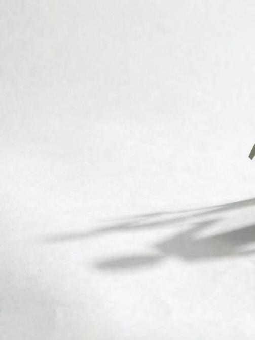 في آيات كثيرة تتأك د محورية الدين الحق من أجل التضامن االجتماعي والتعايش بين بني االنسان.