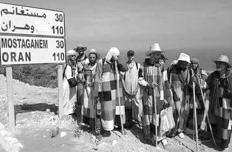 غلب مبيعات الجزاءر ا لى الخارج بمبلغ ١٩.