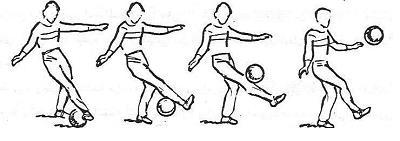 من مواصفات الاداء الصحيح لمهارة كتم الكرة بوجه القدم الخارجي من وضع الوقوف أماماً ورفع الذراعين جانباً أسفل وثنيهما من مفصل المرفقين