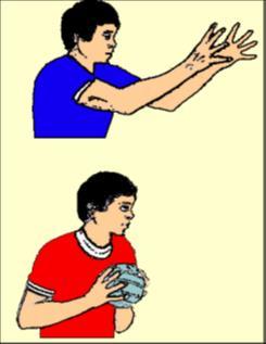 عند ملامسة الجسم للبساط اليد اليسرى تضرب البساط بقوة والذراع اليمنى ممسكة بالحزام تكون في السقطة