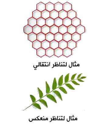 51 تعقيد اللغات الشكلية مع الئحة بمفرداهتا واملنعكس بآن واحد(. والقصد هنا أن نكون قادرين عىل اختبار اهليكل ككل واحد بدال من أن نحسب حساب لكل مكون فردي بشكل منفصل.