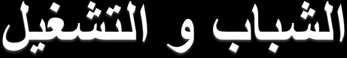ما يمكن تسجيله ضعف وقلة فضاءات التشغيل واالدماج االقتصادي للشباب بالمدينة قلة تنافسية المدينة في مجال جلب المستثمرين إغالق الشركات