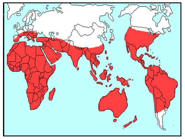 . 6 I العائلة السدبية العائلة السدبية ممثلة ب : Famille Rutaceae جنس و 151 والمناطق المرتفعة الحرارة من نص 1511 نوع وهي واسعة االنتشار في المناطق اإلستوائية والمعتدلة الكرة الشمالي والجنوبي خااة