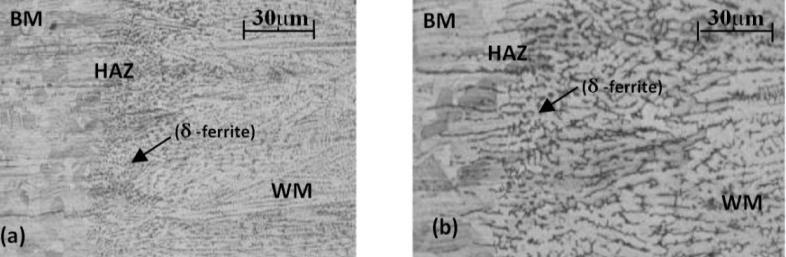 Since hot working of 304L stainless steel is normally performed in the austenite, phase region, the resultant microstructure tends to be strongly oriented along the working direction.