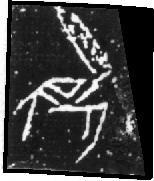 Petrie, Corpus of Prehistoric (1921), pl. XXV-98 D.