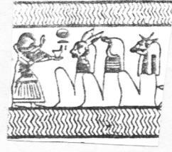 II (1996), fig, 91-B.