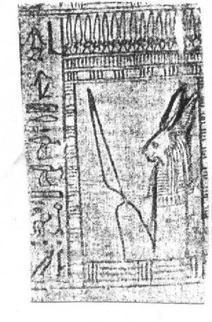 األرنب في الفصل 146 Pap of Hori-Ch.