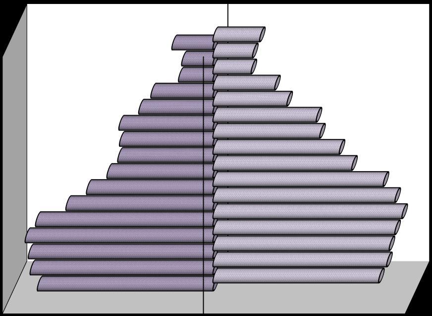 Pyramide des âges de la population de la Région de Tadla-Azilal ( Projections