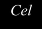 Cel: weh-no bsu-ghod tay-bu-tokh eh- c u-lel bay-tokh wes-ghu-deb ha-yek-lo dqud-shokh.