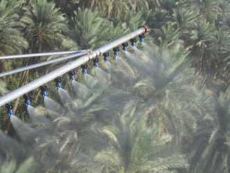 استخدام الطائرات فى تلقيح نخيل التمر (Phoenix dactylifera) Application Of Aircrafts In Date Palm Pollination ê الدكتور سمير الشاكر smralshakir@yahoo.