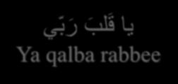 يا ق لب ر