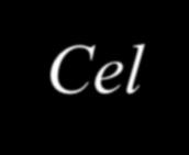 Cel: Peace to you, O Altar of God. Peace to the Holy Mysteries placed upon you.