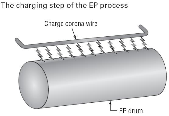 6. Fusing 1( ويف ىذه اؼبرحلة وبدث شيئ ت ونبا :- Drum يلف حوؿ الػ rubber blade وىي أف الػ The Physical Cleaning.