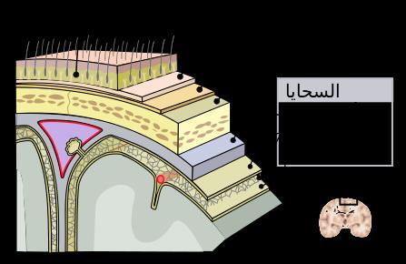 اقرن بين كل نموذج في العمود الأول وعملية ضرب الكسور التي يمثلها في العمود الثاني.