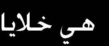 4e - 4OH - 