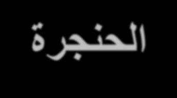 الحنجرة 3- Larynx: تسمى الحنجرة بصندوق الصوت box( )Voice وه ممر قص ر صل ب ن البلعوم والقصبة الهوائ ة )الرغامى(.