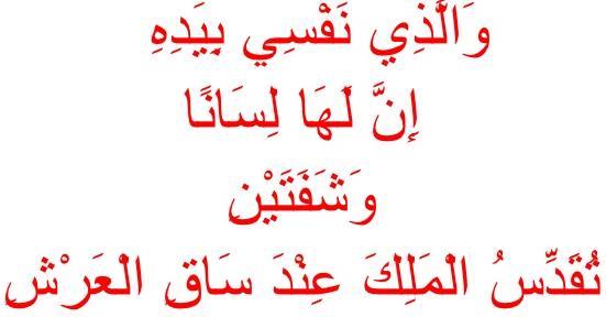 و نا أترك العارذ ةالو العلم لي ا م ردود أ السنم على يبهات العوم بعد أ ظهةةةر لةةةه أنهةةةم مةةةا قةةةالوا قةةةولهم مةةةل فةةةراغ وأنهةةةم م ةةةأولو مج هةةةدو ل نحةةة تكفي م وا ما يعذرو وأتةةةرك