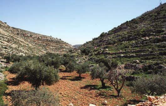 دير دبوان