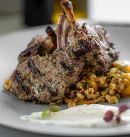 LAMB CHOPS بولو