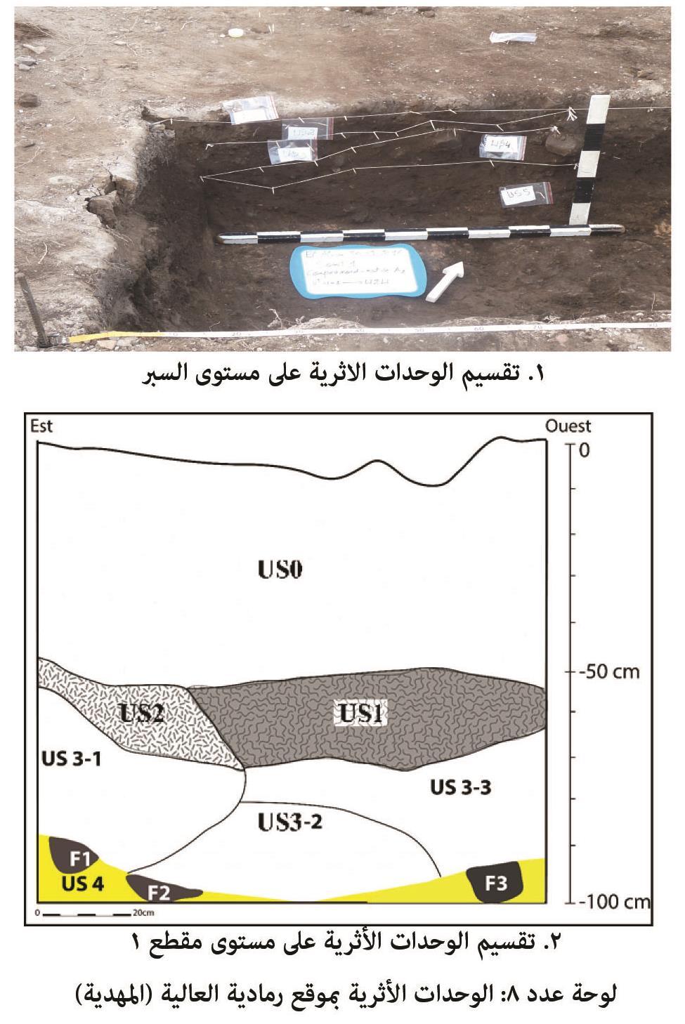 نالحظ أن الغطاء الحيواني ينتمي إلى المناخ المداري أو شبه المداري.