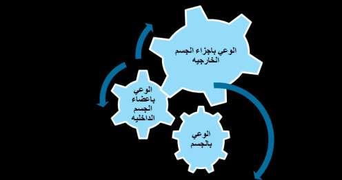 الغصلىالثاني ىاإلطارىالنظريىوالدراداتىالدابػظ ذكلىرقمى) 1 ( ى رناصرىالوريىبالجدم ى التعريف االج ارئي لموعي بالجسم: تعرفو الباحةة إد ارؾ الطفؿ كانتباىو لجسمو كاعضاء جسمو كتسميتيا كمػا يمكػف اف يؤديو