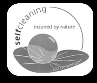silver nanoparticles to