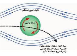 . ولكن هل خطر يف ذهنك ان هذه االنجازات لم تكن عشوائية وانما حدثت وفقا لقواعد علمية مدروسة م ن املهم ان نستكشف القواع د العملية االساسية الت ي استثمرها أبطال املالعب الرياضية لنسجل النفسنا نجاحنا