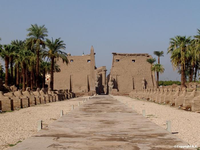 وطرق رسم   ذو