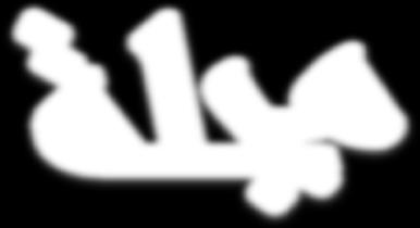 Combating Administrative and Financial The legal system of the establishments having specific needs in the Algerian Protecting the right to