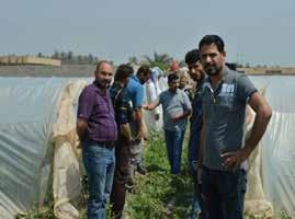 IRAQ يوم مشاهدة حقلية خاصة لباذنجان جواهر بقلم زياد نعمان Field observation day for Jawaher eggplants By: Ziad Nouman أقامت شركة ديما في منتصف شهر أبريل/ نيسان ٢٠١٨ مشاهدة حقلية لمحصول الباذنجان