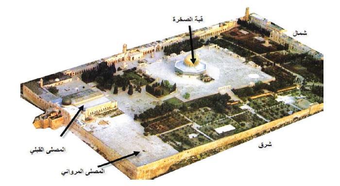 ػ ا ول ا ول بد ثب وؿ ه ع ا ول رؾذ االؽزال 1967 ا ز واها ظ ا ب ٢ ك ٢ هػب ٣ خ ا ول بد ن ا ل ثؼ ٤ ل رب ٤ ل ػ ٠ ا ب بؽجخ ا ب ٣ خ ا زبه ٣ ق ٤ خ ا ل ٤ ٣ خ ػ ٠ ا ول بد