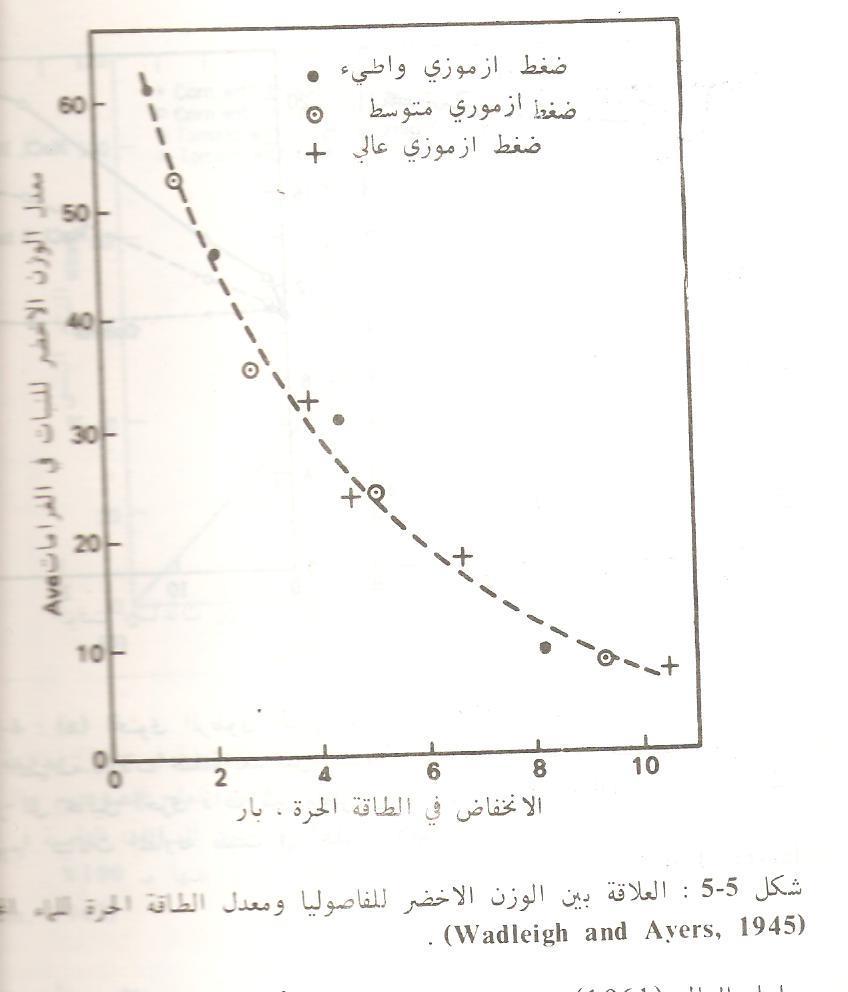 التأثير
