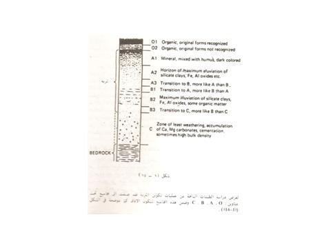 ) طبيعة نسجة التربة ونمو النبات اعتمادا على المظهر الخارجي morphology( طبقات افقية متبانية تسمى