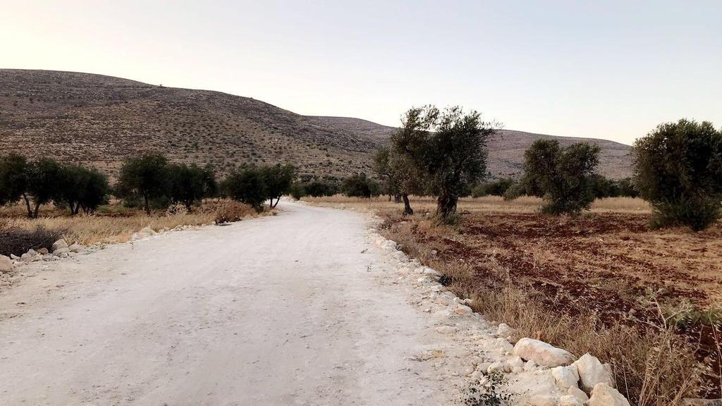 صورة )2( طريق زراعي- قرية بيت دجن المصدر: تصوير الباحثة أثناء الزيارة الميدانية 3.