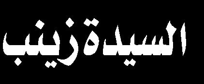 الدعوة حاول الكاتب أن يقول في قصته أنه كيف استطاعت السيدة زينب