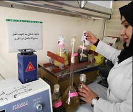 المائ ة