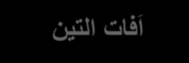 التين افات مزرعتي مزرعة كل العمانيين